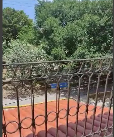 بيت ضيافة فندق كانكونفي  Casa Del Parque Rotario المكسيك